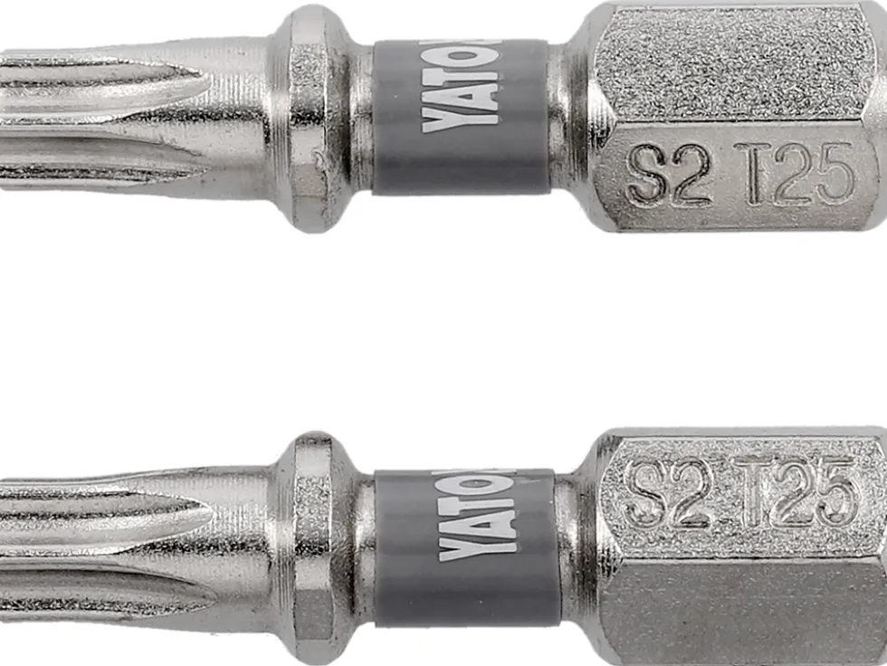 BITY 1/4"X25 MM T25 2 SZT NI