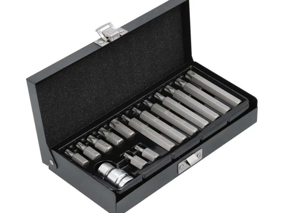 KOŃCÓWKI WKRĘTAKOWE TORX SECURITY, ZESTAW 15 SZT.