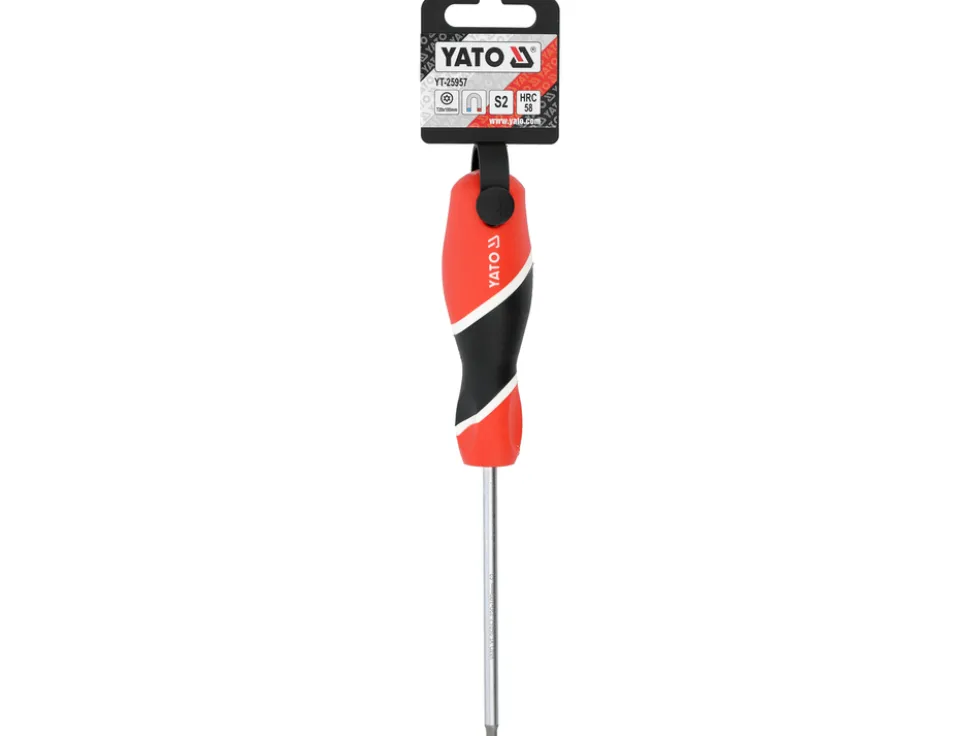 WKRĘTAK TORX SECURITY T20X100MM
