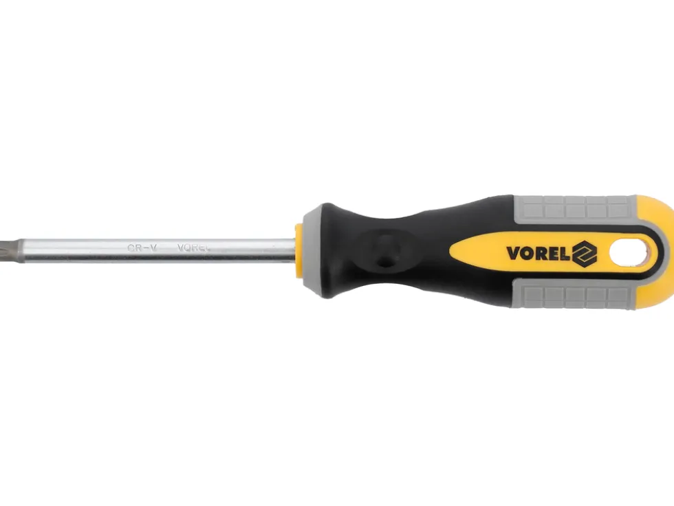 WKRĘTAK TORX T40X100 MM CRV