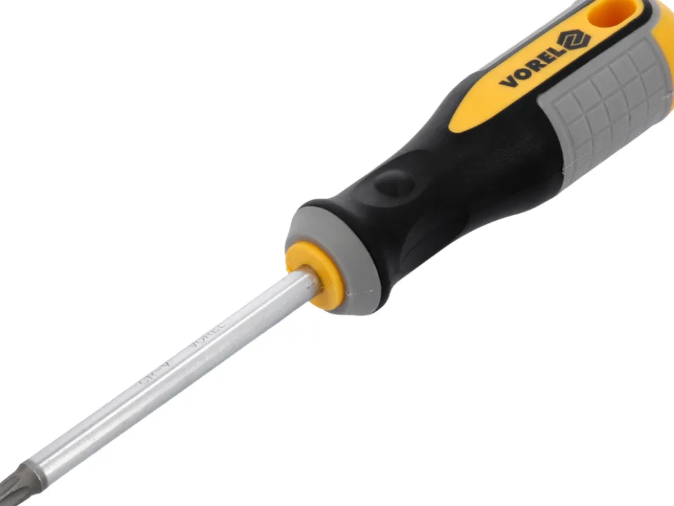 WKRĘTAK TORX T40X100 MM CRV