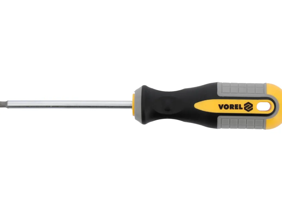 WKRĘTAK TORX T15X100 MM CRV