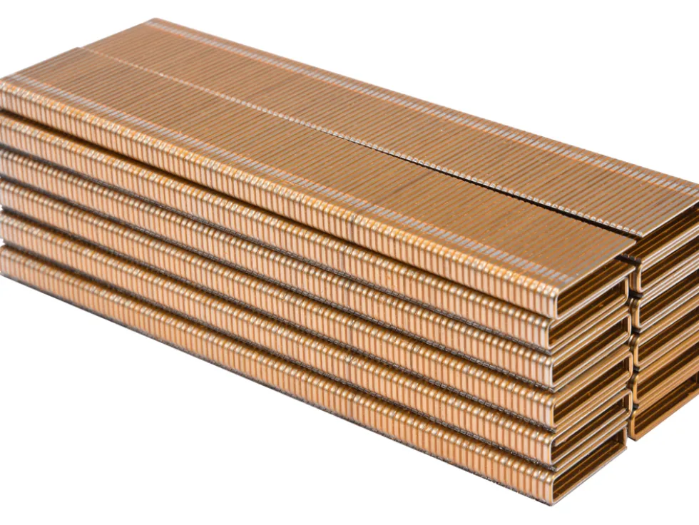 ZSZYWKI 21X5,5MM 2200SZT